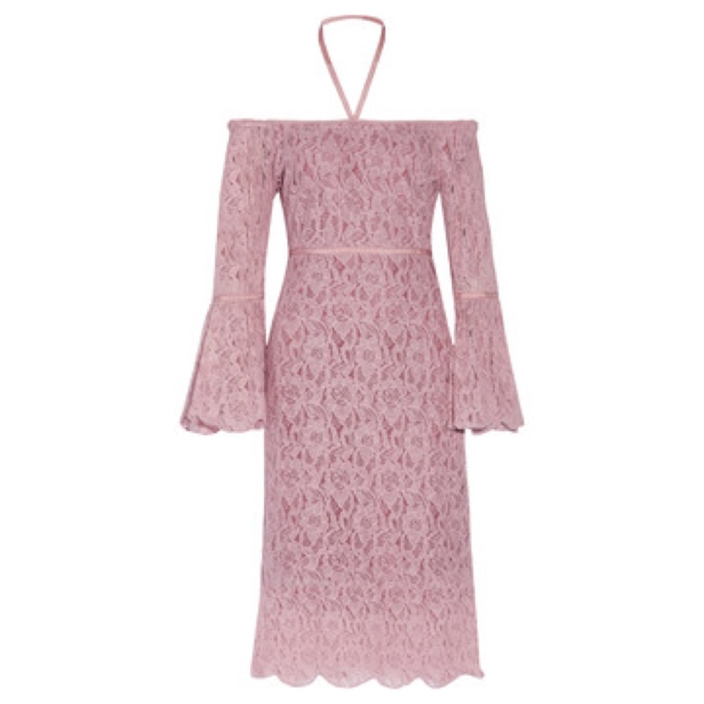 Walter Baker Serena Off-the-shoulder Lace Dress - Picture 3 of 5